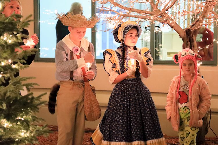 Go to Hannibal Area Chamber of Commerce Business After Hours and Tree Lighting details page